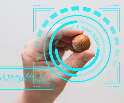 Haselnuss wird mithilfe digitaler Bildanalyse zur automatischen Erkennung und Bewertung von Merkmalen erfasst.